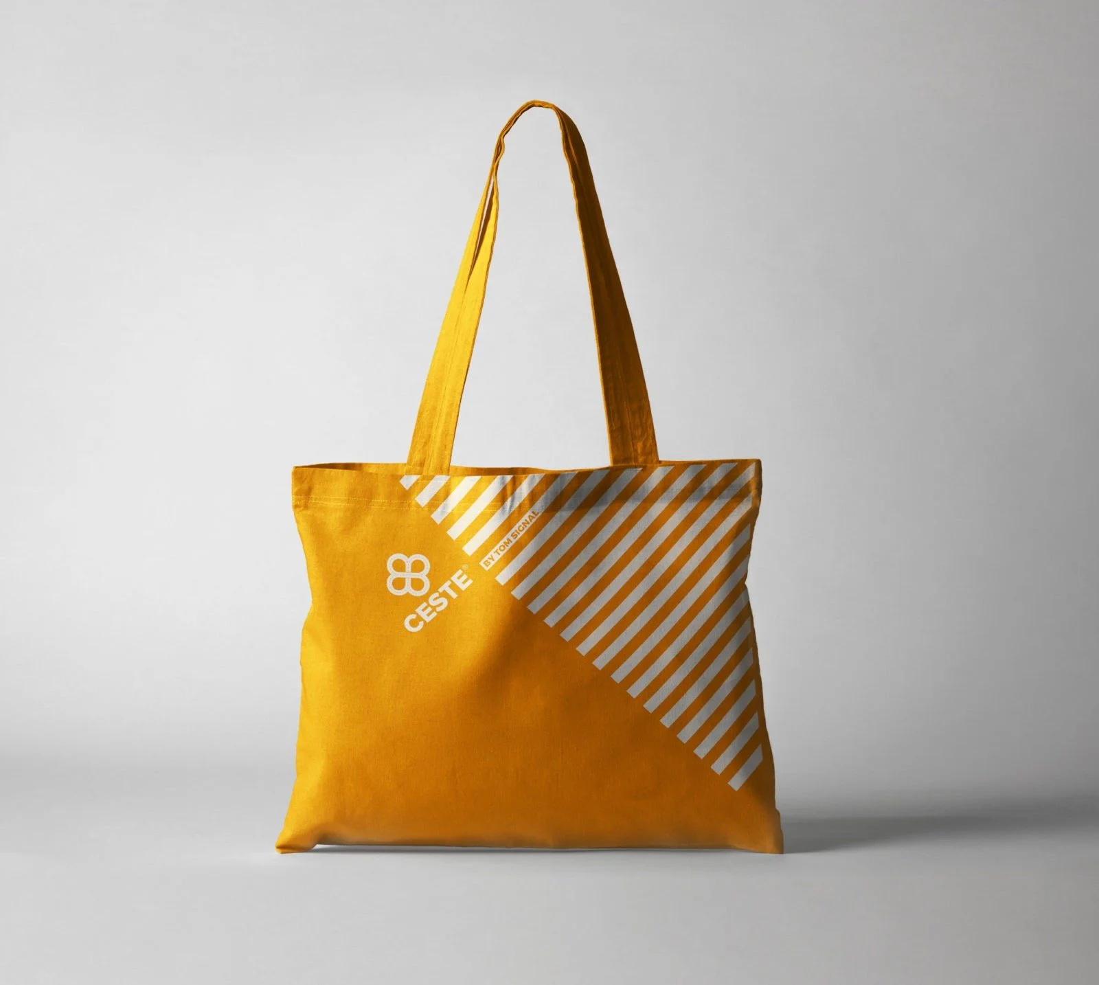 CESTE 2020 torbe