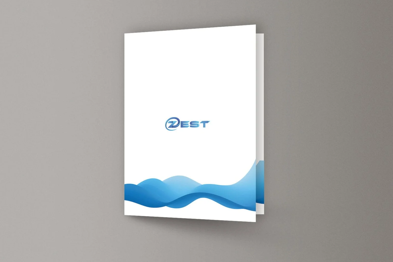 Izrada kompletnog vizualnog identiteta ZEST