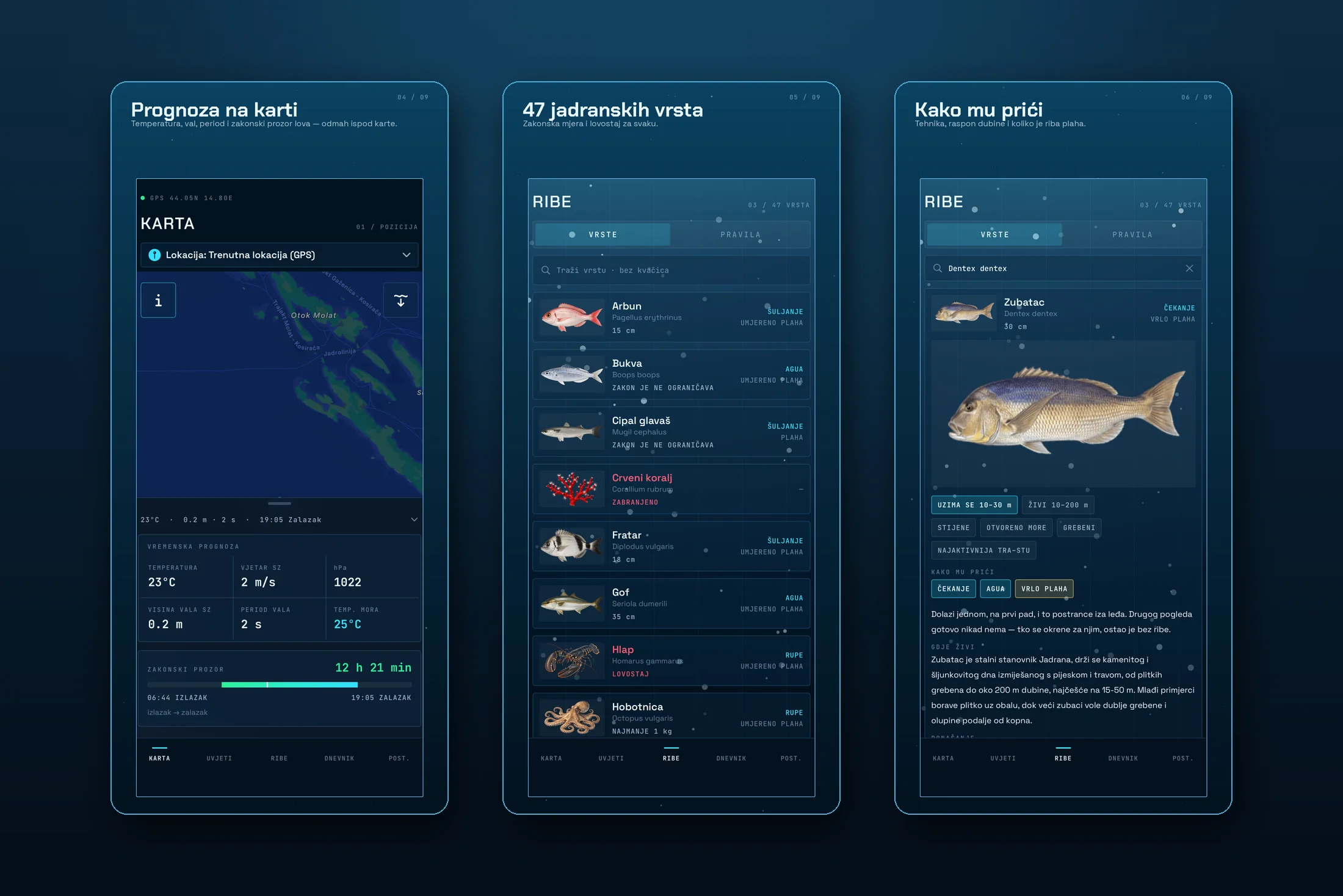 Tisch Spearfishing — prognoza na karti, 47 jadranskih vrsta i kako prići zubacu
