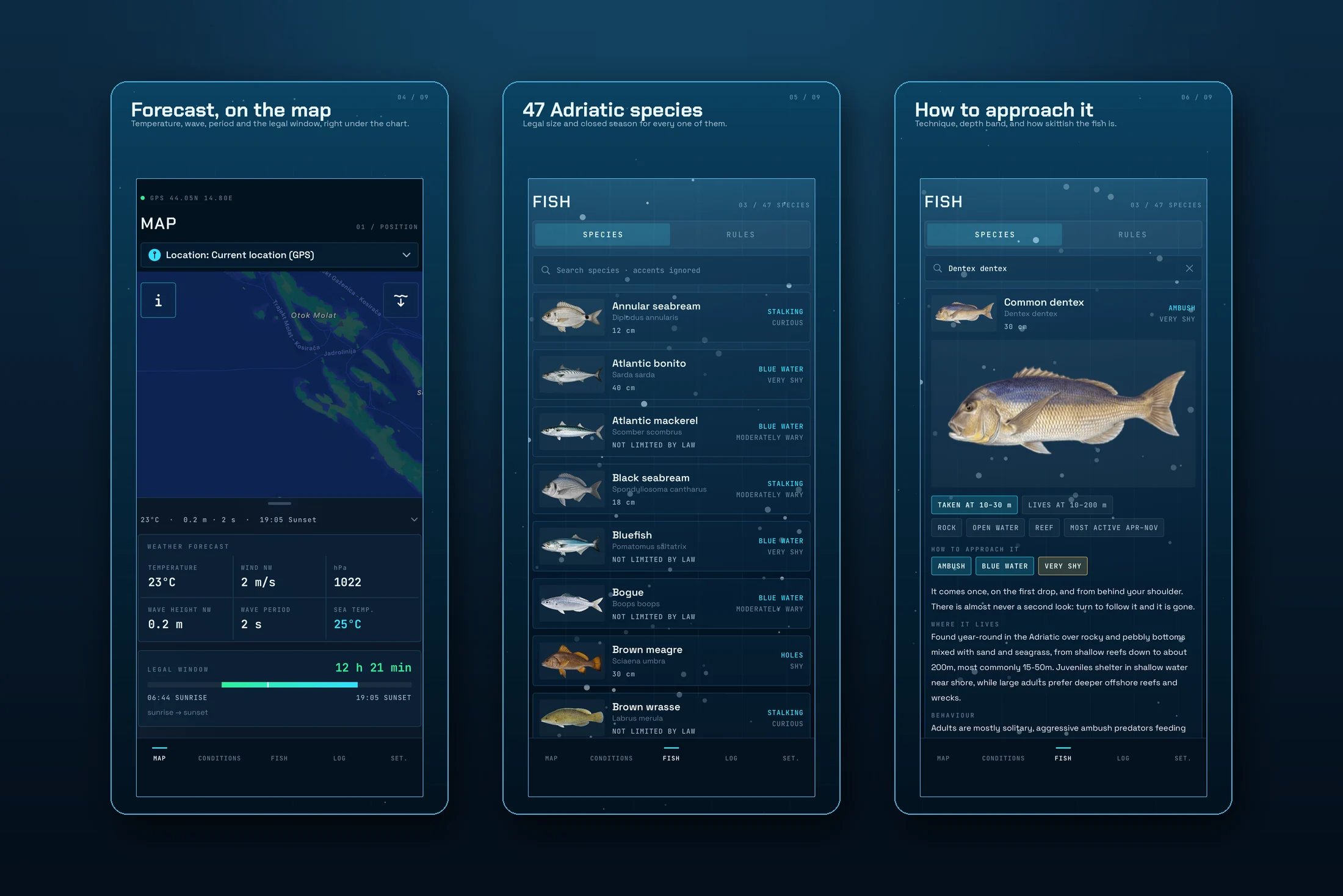 Tisch Spearfishing — forecast on the map, 47 Adriatic species and how to approach a dentex