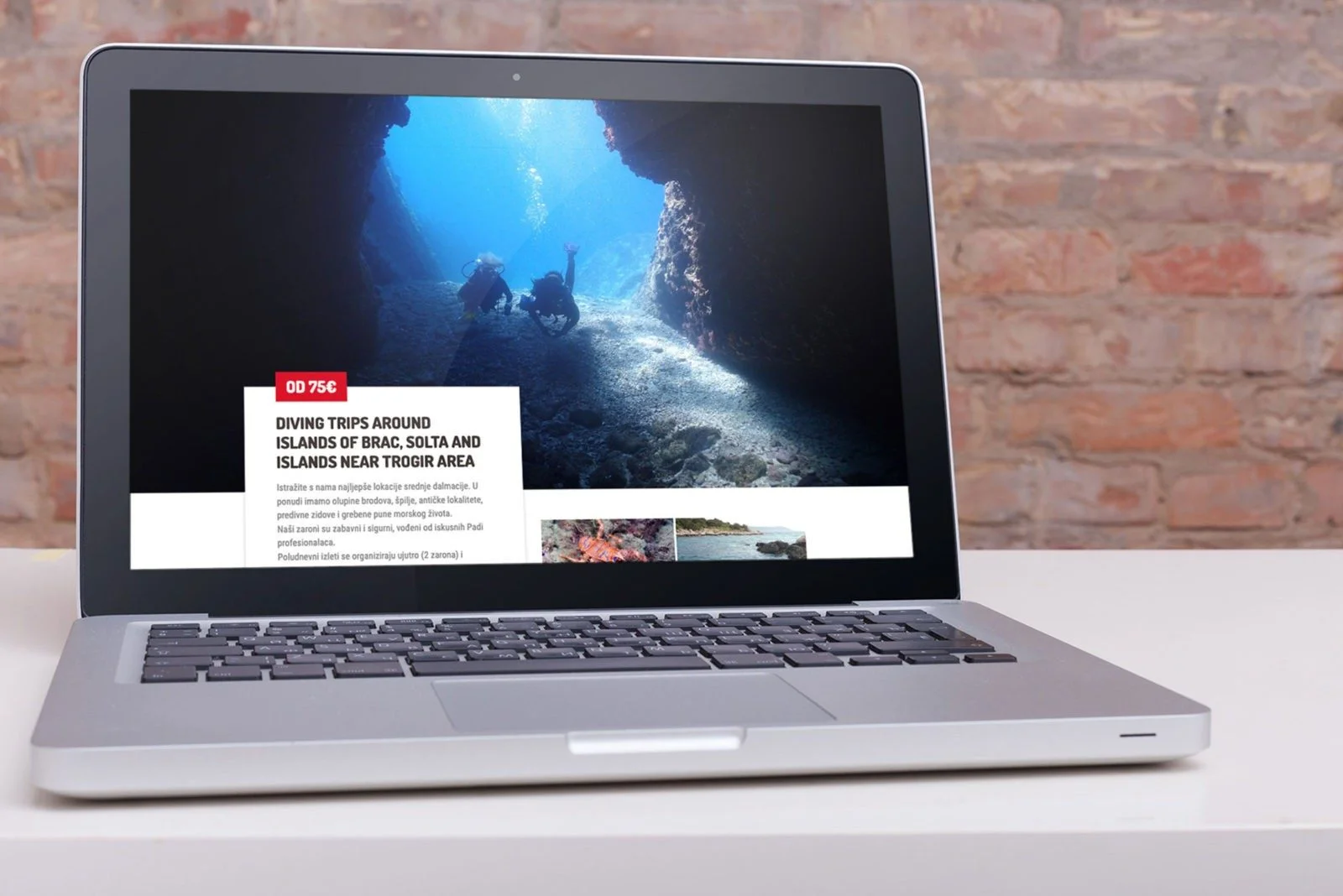 Venus Diving Centar Web Dizajn