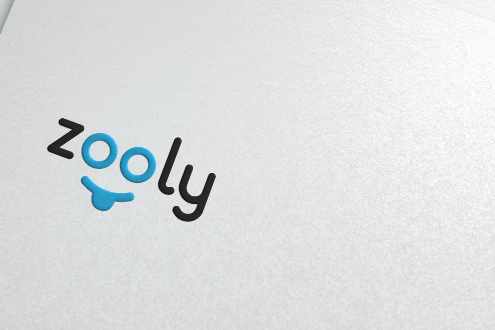 Zooly branding 3